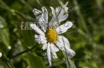 EA278164, Eastpress , Porvoo, Finland